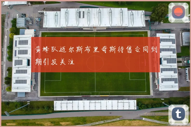 黄蜂队迈尔斯布里奇斯待售合同到期引发关注