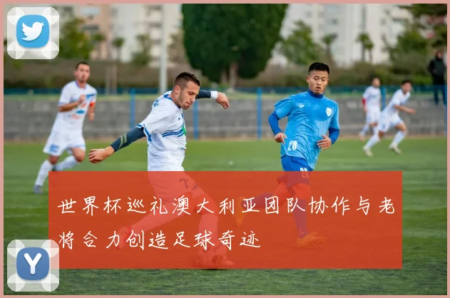 世界杯巡礼澳大利亚团队协作与老将合力创造足球奇迹